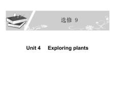 2013屆高考英語一輪復習課件： UNIT 4(新人教版選修9)WANGLI