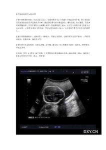 脊柱裂超声诊断