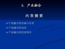 产业结构与政策分析产业融合