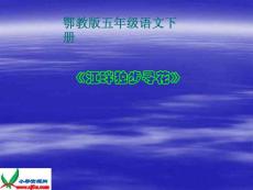 鄂教版五年级下册《江畔独步寻花》1PPT课件【精品课件】