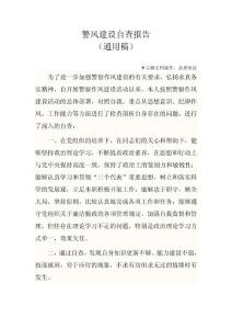 警風建設自查報告(2012.11)通用模板