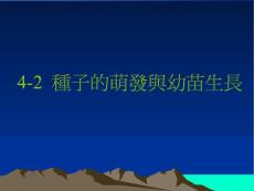 種子的萌發(fā)與幼苗生長(zhǎng)