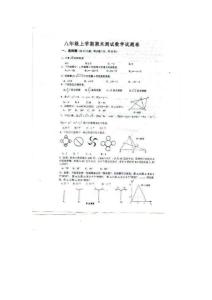 2011-2012学年度上学期期末模拟八年级数学测试题