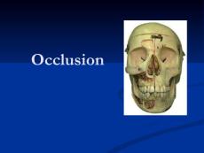 口腔组织病理学 第1章 牙合Occlusion（英文）73P