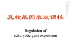 第一講  基因表達(dá)