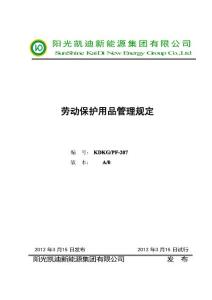 PF207集團公司勞動保護用品管理規定(1)