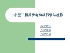 中小型三相异步电动机拆装与检修