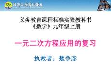 一元二次方程应用的复习（楚）