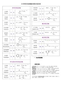 20種常見(jiàn)氨基酸基本信息表[適合打印記憶](méi)
