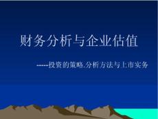 财务分析与企业估值