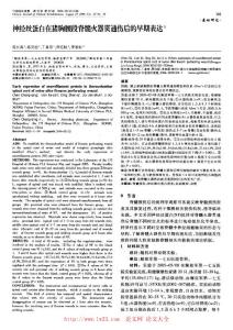 神经丝蛋白在猪胸腰段脊髓火器贯通伤后的早期表达 - 论文网