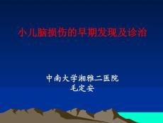 小兒腦損傷的早期發(fā)現(xiàn)及診治【共享精品-ppt】