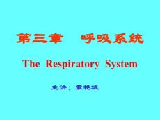 呼吸系統