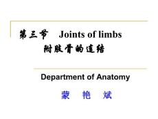 四肢骨連接（系統解剖學）
