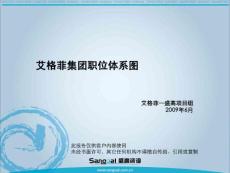 附件3：艾格菲職位體系匯編