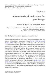 Adeno-associated viral vectors for gene therapy