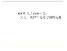 第6章 電子商務環(huán)境：文化、法律和道德方面的問題