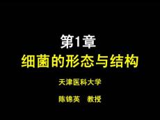 天津医科大学课件  细菌的形态与结构