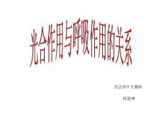 光合作用与呼吸作用的关系(1)