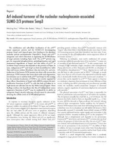 Arf-induced turnover of the nucleolar nucleophosmin-associated SUMO-2 3 protease Senp3