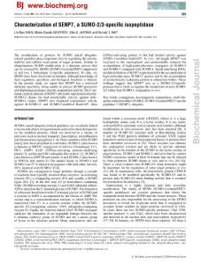 Characterization of SENP7, a SUMO-2 3-speciﬁc isopeptidase