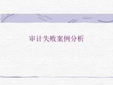 审计失败案例分析