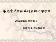 第九章肾脏疾病的生物化学诊断.ppt - 肾脏生化Biochemistry of the