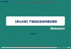 平度茶山大院產品定位及運作建議報告