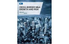Cross-border M&A Growth and Risk for past 2012