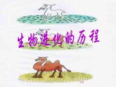 生物进化的历程2