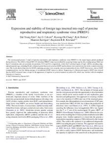 Expression and stability of foreign tags inserted into nsp2 of porcine