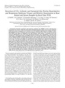 Detection of U.S., Lelystad, and European-Like Porcine Reproductive and Respiratory Syndrome Viruses and Relative Quantitation in Boar Semen and Serum Samples by Real-Time PCR