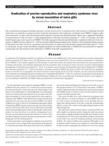 Eradication of porcine reproductive and respiratory syndrome virus by serum inoculation of naïve gilts