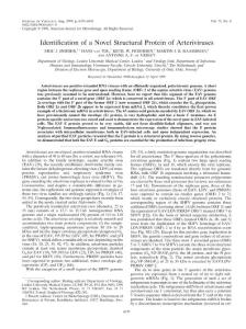 Identification of a Novel Structural Protein of Arteriviruses