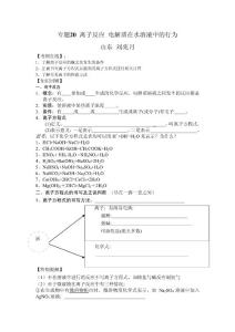 專題20 離子反應 電解質在水溶液中的行為