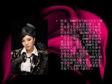 C檔明星資料[15－30萬]