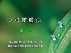 心脏瓣膜病（06级影像系）