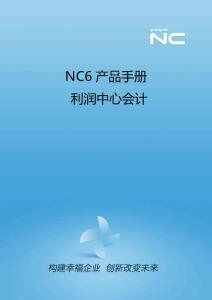 NC6产品手册-利润中心会计