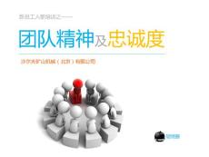 团队精神及忠诚度