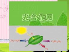“细胞呼吸”专题资料