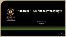 2012年河北邢台麒麟湾景观大盘项目推广执行建议_120p_营销策划方案