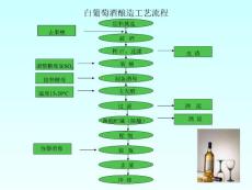 白葡萄酒釀造工藝流程