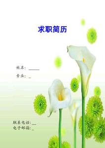 簡(jiǎn)歷-自薦書
