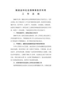 社保工作總結