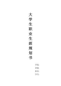 職業(yè)生涯與規(guī)劃 (1)