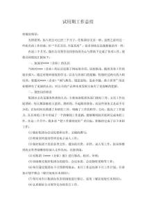 試用期總結