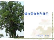 銀杏美食制作展示