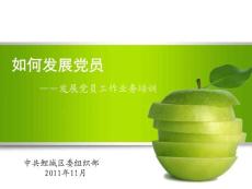 　發(fā)展黨員工作業(yè)務培訓