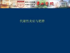 代谢性炎症与肥胖