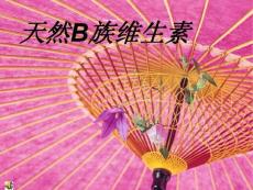 天然B族維生素片